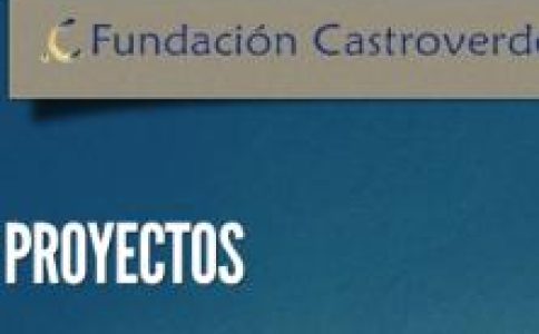 Fundación Castroverde